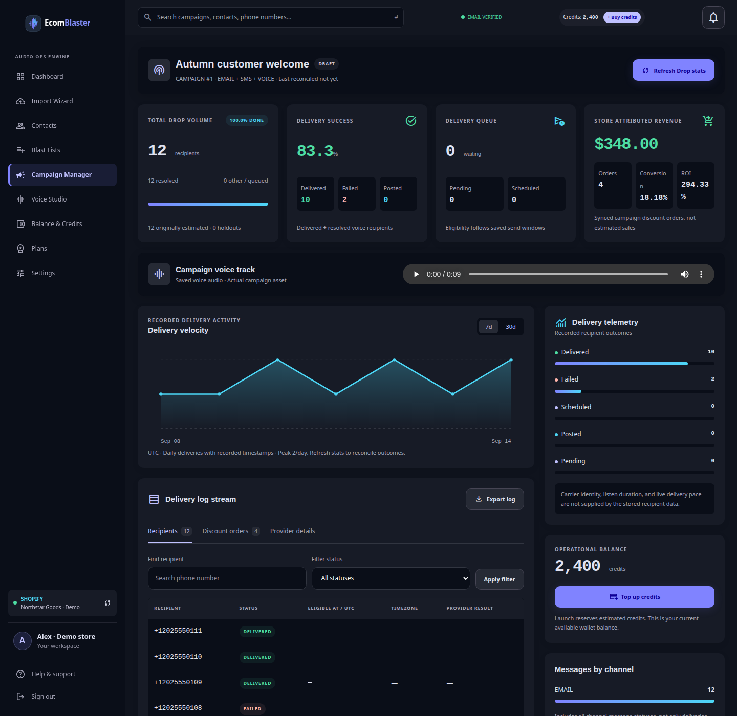 Campaign results from an illustrative demo account